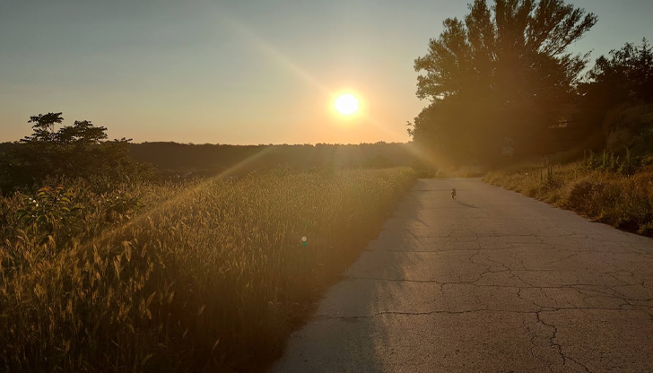 Слънчево и сухо време до края на седмицата с минимална