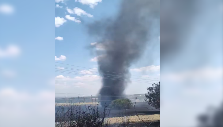 Изгорялата от пожара растителност създаде условия за необичайното явлениеСлед пожара