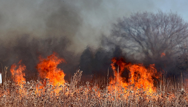 Пламъци в сухи треви между град Стралджа и възела предизвикаха