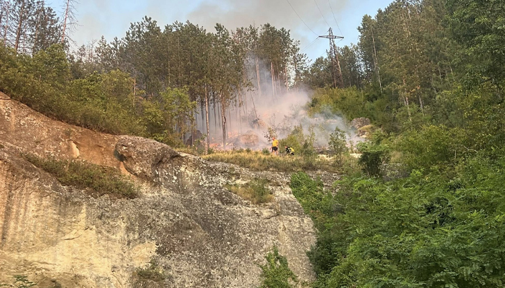 Огънят в района на Фатмеджика е овладян, включиха се пожарникари