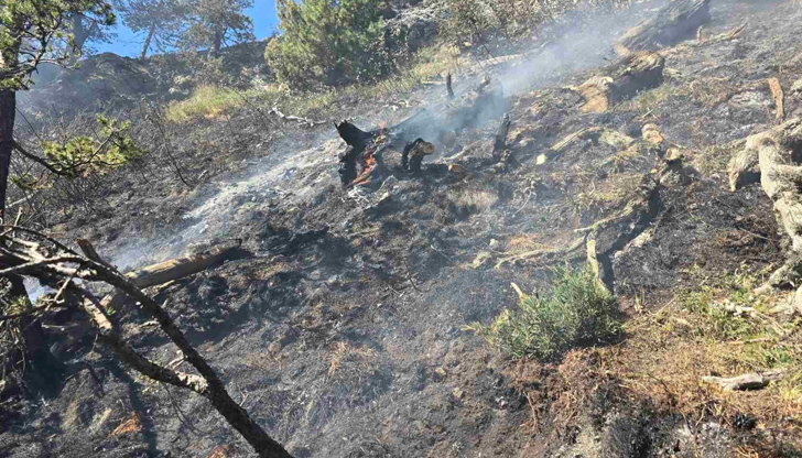 Високите температури и вятърът усложняват работата на пожарникарите и горските