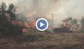 Огромен пожар обхвана защитената местност „Калимок - Бръшлен“