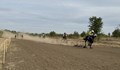 Конни състезания се провеждат на хиподрума в Русе