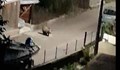 Мечка се разхожда по улиците на Доспат