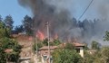 Пожар обхвана борова гора край Сухиндол