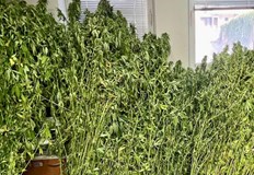 Арестуваха 31 годишен мъж при спецоперация на ГДБОПГлавна дирекция Борба с