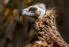 За малките посетители ще има образователни ателиета интерактивни игри и