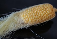 За някои хора чаят от царевична свила е лечебен но