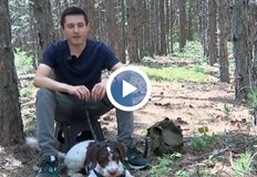 България изнася черен трюфел за милиони евро годишноСтефан Димитров прапраправнук