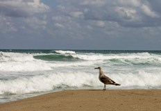 Английски турист се удави 43 годишен британски гражданин се удави в
