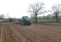 Дъждовете в края на август съживиха почвата за есенницитеПродължителната лятна