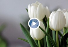 716 000 ученици влизат в клас в понеделник училища насърчават