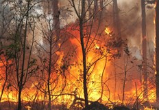 Проф Иван Палигоров Прогнозите за Североизточна България до 2080 година