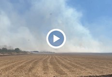 Намаляват пожарите без материални щетиДвама души са загинали и 10