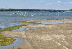 Корабите се движат по обозначени коридори за да избегнат плитчинитеНивото