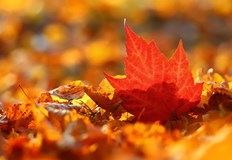 Преминаването към зимно часово време ще бъде на 26 октомвриСледващият