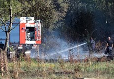 Пламъците от сухи треви обхванаха дървета храсти и лозя близо