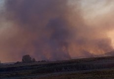 Огънят унищожи около 500 дка сухи треви и тръстика в