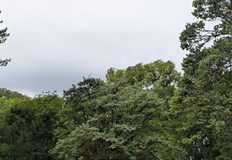 Температурите скачат до 31° в сряда в края на седмицата