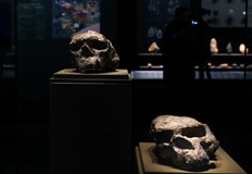 Учени смятат че Homo sapiens може да се е появил