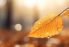 Температурите ще останат под 23 градуса в цялата странаАтмосферното налягане