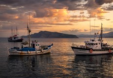 Турски рибари стреляха във въздуха след спор с гръцки колеги