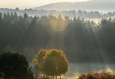 Максималните температури ще достигнат между 30 и 35 градуса в