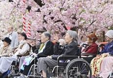 Жените представляват 88 от хората над 100 годишна възраст в странатаЯпония