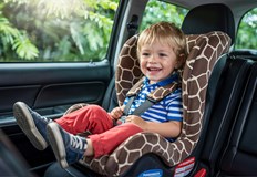 Отнемат шофьорска книжка и талон за 30 дни при нарушениеШофьорите