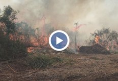 Труднодостъпен терен затруднява гасителните дейностиОгромен пожар обхваща защитената местност Калимок