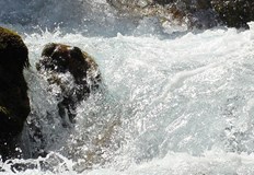 Жената се задържала за дънер в бурните води на реката