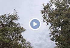 Жълт код за силен вятър е обявен в 12 области