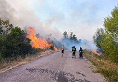 Горски служители се борят с огнената стихия в НП Рила
