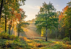 Температурите в Русе ще достигнат до 30 градусаДнес 7 септември