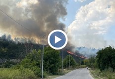 Въпреки напрегнатия пожарен сезон опожарените гори намаляват значително през 2025С