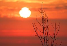 Гръмотевици се очакват в Западна България след обяд в Русе