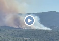 Четири екипа пожарникари доброволци и горски служители гасят огъня от