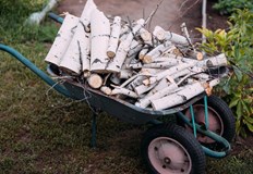 Иззеха кубичен метър акациева дървесина без документиПолицейски екип от Районно