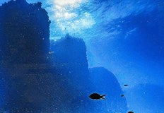 Международен екип попадна на останки на 12 метра под водата