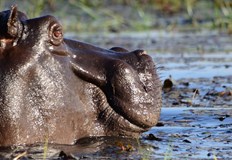 Сред изчезналите има жени малки момичета и бебеЕдинадесет души сред