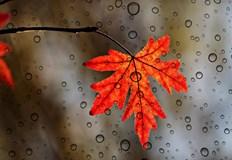 Дневните температури ще се понижат със стойности призори под 10