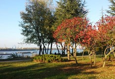 Уикендът ще е слънчев и топъл след него идва бърз