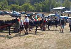 Дългоухата надпревара привлича посетители от цялата странаМощното И а вместо рев