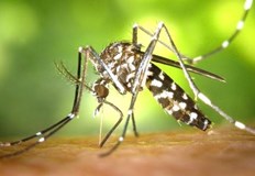 Обработката ще обхване пет населени местаОт днес до четвъртък включително