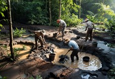 Учени Малкомащабните златни мини в Перу унищожиха повече торфища за