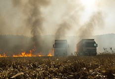 Огънят е обхванал само сухи треви и храстиОпит за подаване