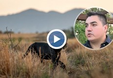 Полицията не открива следи от животното но продължава наблюдението в