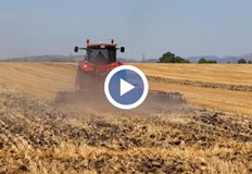 Земеделците отчитат критично ниски добиви от слънчоглед и царевицаФалити застрашават