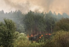 Екипи на пожарната и десетки доброволци се борят с огнената