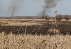 Борбата с огъня е затруднена от гъста мъгла пламъците застрашават